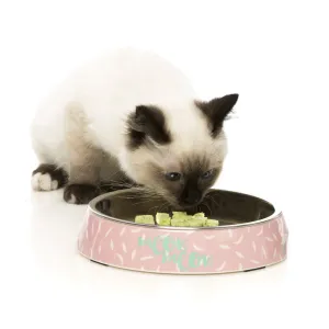 FuzzYard Cat Bowl