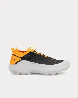 Vertex Alpine Graphite / Edziza Running Shoes