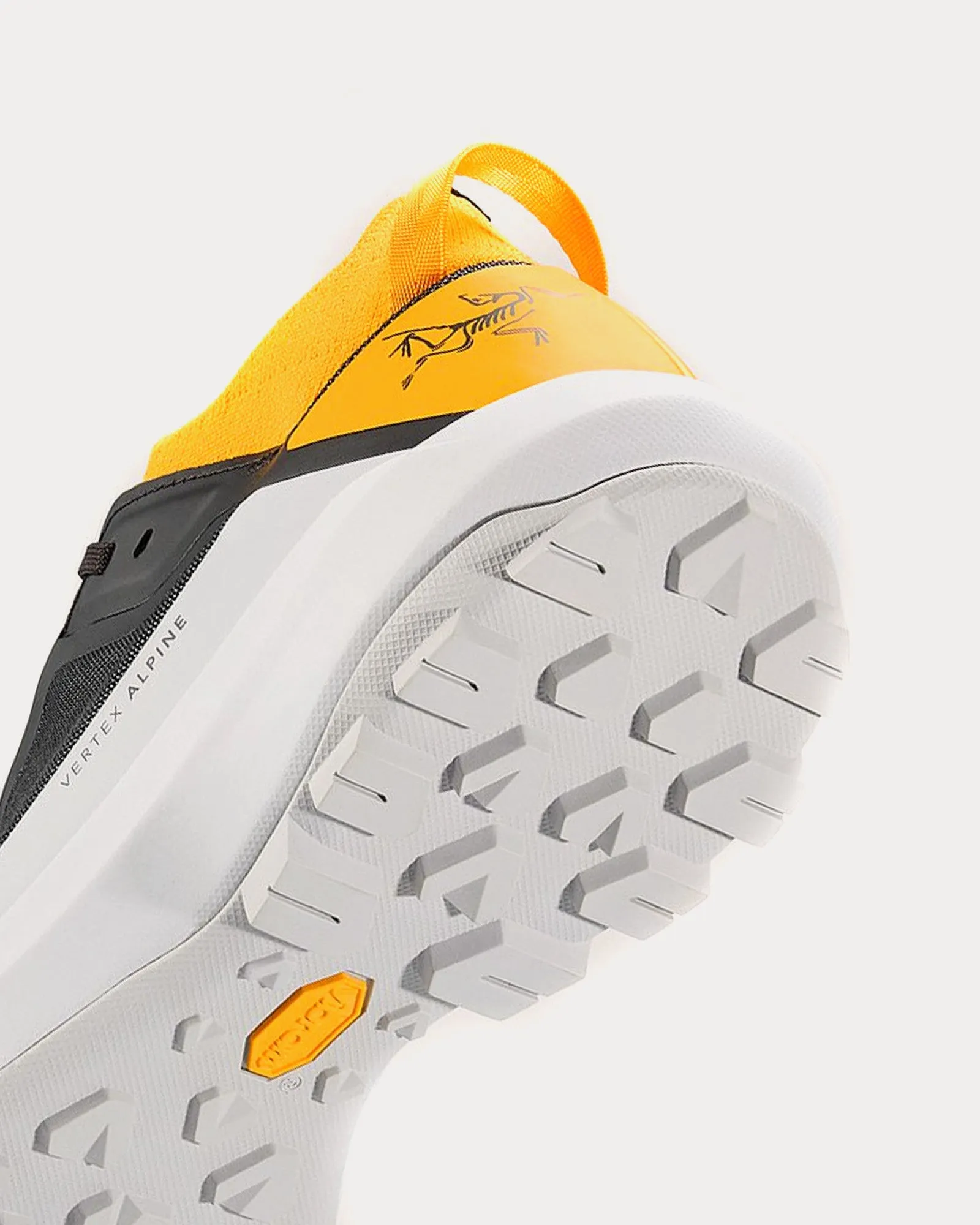 Vertex Alpine Graphite / Edziza Running Shoes