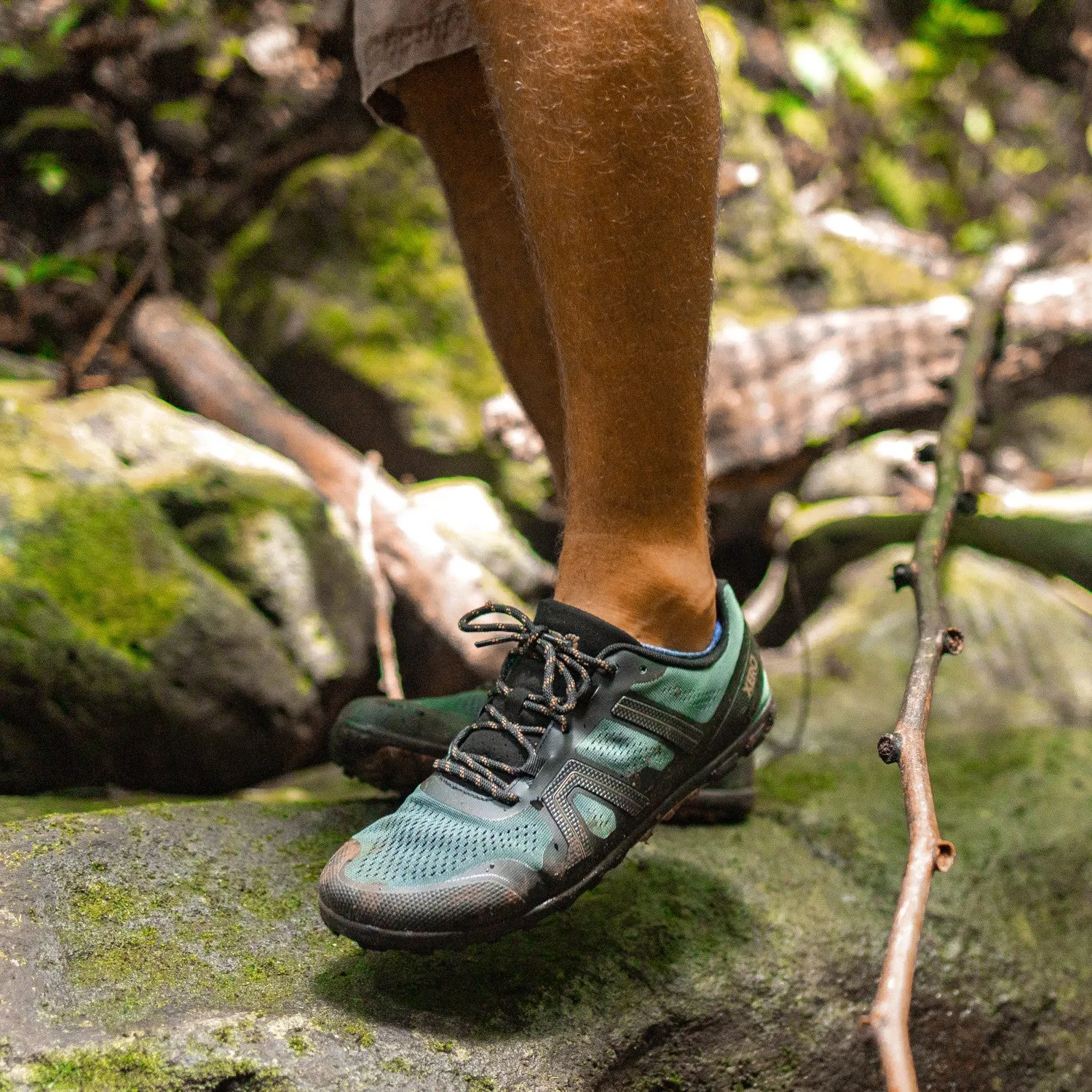 Xero Shoes Mesa Trail II Herren - forest